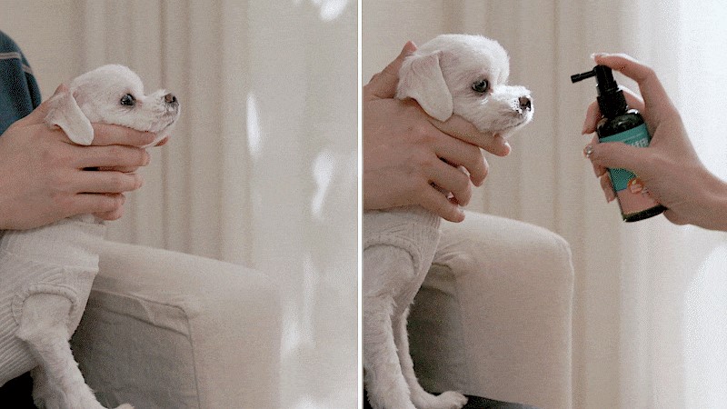 锟皆筹拷锟斤拷锟斤拷锟斤拷 锟斤拷锟斤拷2.jpg